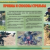 Комплект плакатов "Огневая подготовка" - «globural.ru» - Чебоксары