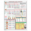 Плакаты "Заземление и защитные меры электробезопасности (при напряжении до 1000 В") - «globural.ru» - Чебоксары
