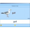 Английский язык. Освоение клавиатуры - «globural.ru» - Чебоксары