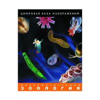 Зоология. Микрофотографии. (Цифровая база изображений) - «globural.ru» - Чебоксары