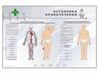 Электрифицированный стенд "Остановка кровотечения" - «globural.ru» - Чебоксары