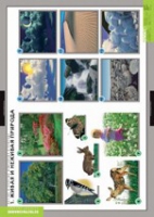 Окружающий мир. Летние и осенние изменения в природе (комплект таблиц) - «globural.ru» - Чебоксары