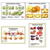 Плакаты ПРОФТЕХ "Ассортимент овощных культур" (12 пл, винил, 70х100) - «globural.ru» - Чебоксары