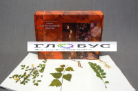 Гербарий для начальной школы (28 видов) - «globural.ru» - Чебоксары