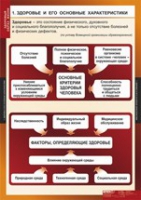 ОБЖ Здоровый образ жизни (комплект таблиц) - «globural.ru» - Чебоксары