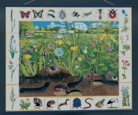 Магнитный плакат "Природное сообщество луга" - «globural.ru» - Чебоксары