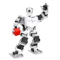 Базовый робототехнический набор  "Техник" для изучения систем управления робототехническими комплексами и андроидными роботами "Сережа ИН Про". Полный комплект на Raspbery Pi - «globural.ru» - Чебоксары