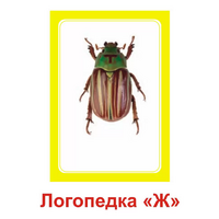 Логопедка "Ж" (логопедические карточки) - «globural.ru» - Чебоксары