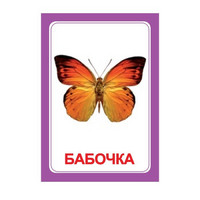 Логопедка "Ч" (логопедические карточки) - «globural.ru» - Чебоксары