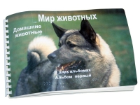 Пособие для слабовидящих "Домашние животные" - «globural.ru» - Чебоксары