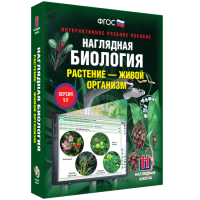 Наглядная биология. Растение - живой организм - «globural.ru» - Чебоксары