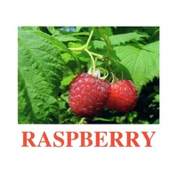 "Berries-1" ("Ягоды-1") английские карточки Домана - «globural.ru» - Чебоксары