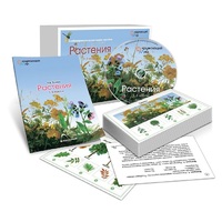 Комбинированное наглядное пособие «Растения» - «globural.ru» - Чебоксары