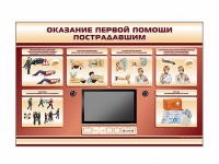 Многофункциональный интерактивный стенд-тренажер "Оказание первой помощи пострадавшим" для учащихся общеобразовательных учреждений - «globural.ru» - Чебоксары
