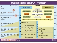 Таблица демонстрационная "Сравнение понятий изомер и гомолог" (винил 100х140) - «globural.ru» - Чебоксары