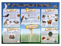 Стенд-уголок "Друзья наши меньшие" - «globural.ru» - Чебоксары