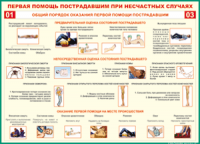  Таблица Общий порядок оказания первой помощи пострадавшим 1000*1400 винил	 - «globural.ru» - Чебоксары