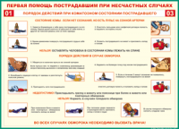Таблица Порядок действий при коматозном состоянии пострадавшего 1000*1400 винил - «globural.ru» - Чебоксары