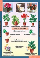 Окружающий мир 1 класс (комплект таблиц) - «globural.ru» - Чебоксары