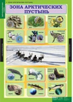 Окружающий мир 4 класс (комплект таблиц) - «globural.ru» - Чебоксары