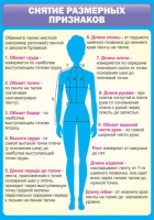 Стенд "Снятие мерок" (вариант 2) - «globural.ru» - Чебоксары