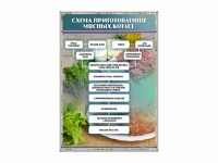 Стенд "Схема приготовления мясных котлет" - «globural.ru» - Чебоксары