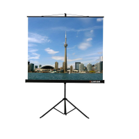 Проекционный экран на штативе Lumien Eco View (LEV-100105) 160x160 см - «globural.ru» - Чебоксары