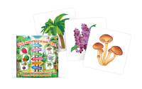 Набор карточек для знакомства с лексической темой растения "Ботанический сад" - «globural.ru» - Чебоксары