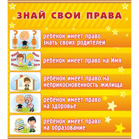 Стенд "Знай свои права" - «globural.ru» - Чебоксары