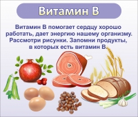 Стенд "Витамин В" - «globural.ru» - Чебоксары