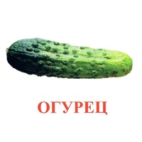 Карточки Домана "Овощи-Зелень-1" - «globural.ru» - Чебоксары