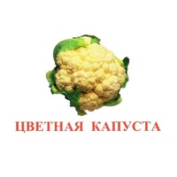 Карточки Домана "Овощи-Зелень-2" - «globural.ru» - Чебоксары