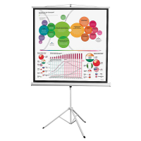 Экран на штативе DSKD-1104 - «globural.ru» - Чебоксары