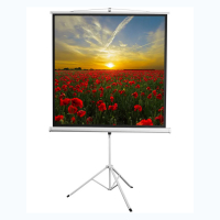 Экран на штативе DSKD-1105  - «globural.ru» - Чебоксары