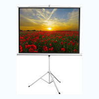 Экран на штативе DSKD-4303 - «globural.ru» - Чебоксары