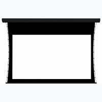 Экран настенный с электроприводом DSTPX-16916 - «globural.ru» - Чебоксары