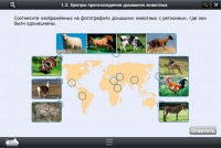 Интерактивные курсы. Биология 7 класс. Расширенный - «globural.ru» - Чебоксары