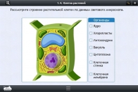 Интерактивные курсы. Биология 9 класс. Расширенный - «globural.ru» - Чебоксары
