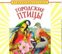 CD "Аудиоэнциклопедия. Городские птицы" - «globural.ru» - Чебоксары