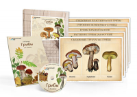 Комбинированное наглядное пособие «Грибы» - «globural.ru» - Чебоксары