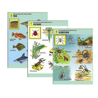 Комплект таблиц для начальной школы "Окружающий мир. Животный мир" - «globural.ru» - Чебоксары