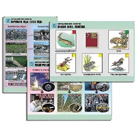 Комплект таблиц для  начальной школы "Окружающий мир. Экология" - «globural.ru» - Чебоксары