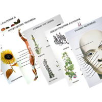 Таблицы по природоведению 1-3 класс - «globural.ru» - Чебоксары