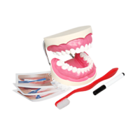 Игровой комплект "Чистим зубы" - «globural.ru» - Чебоксары