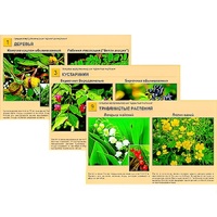 Гербарий фотографический "Ядовитые растения" - «globural.ru» - Чебоксары