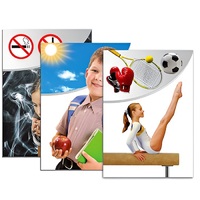 Модель-аппликация "Здоровье человека" - «globural.ru» - Чебоксары