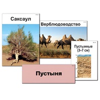 Модель-аппликация "Природные зоны России" - «globural.ru» - Чебоксары