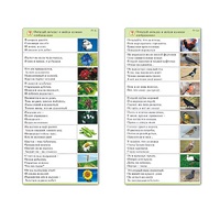 Комплект карточек (10) "Обучающий калейдоскоп. Природа" - «globural.ru» - Чебоксары