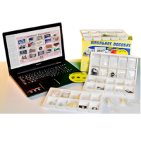 Коллекция натурально-интерактивная "Пластмассы" - «globural.ru» - Чебоксары