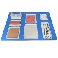 Тренажерный комплекс "Изучение и отработка ветеринарно-хирургических навыков на практике" - «globural.ru» - Чебоксары